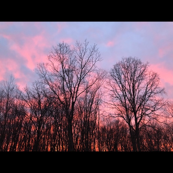 Meet your Posher, Sophia - Picture 1 of 1